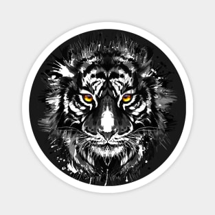 Tiger Face - Black and White Siberian Tiger Head Magnet